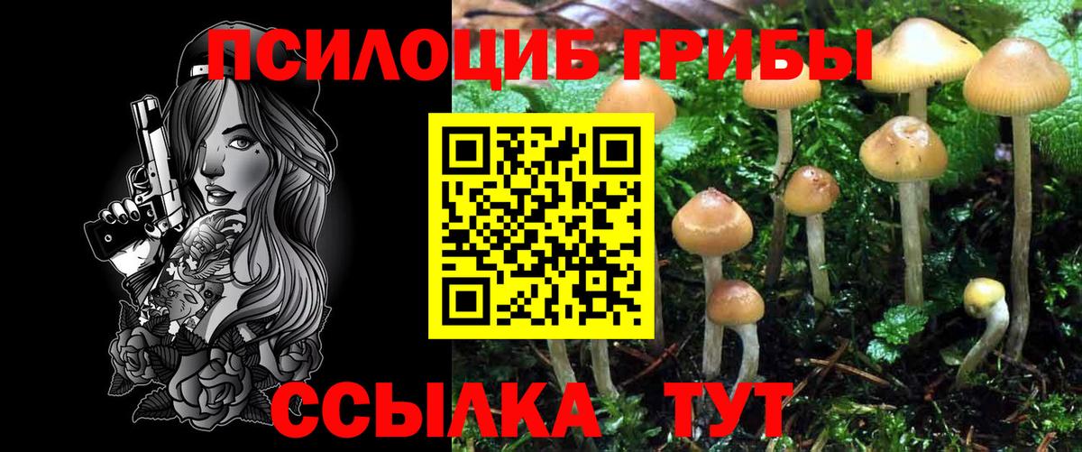 Галлюциногенные грибы мухоморы  Вход с VPN  Рубцовск 