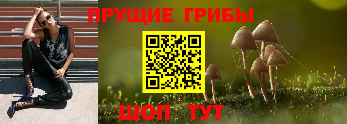 Галлюциногенные грибы Magic Shrooms Рубцовск
